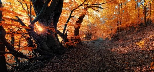Очень красивая серия работ чешского фотографа Janek Sedlar.
