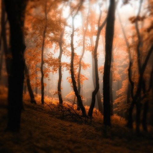Очень красивая серия работ чешского фотографа Janek Sedlar.
