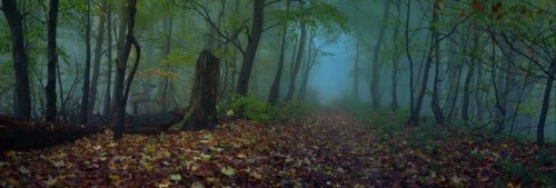 Очень красивая серия работ чешского фотографа Janek Sedlar.