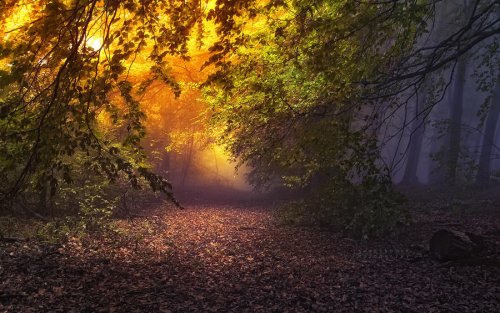 Очень красивая серия работ чешского фотографа Janek Sedlar.