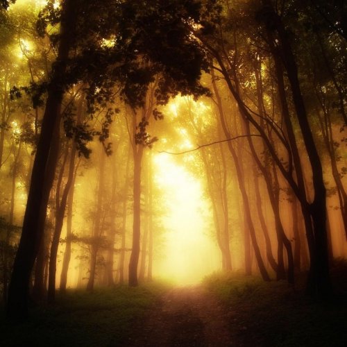 Очень красивая серия работ чешского фотографа Janek Sedlar.