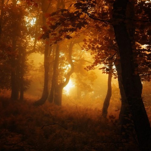 Очень красивая серия работ чешского фотографа Janek Sedlar.