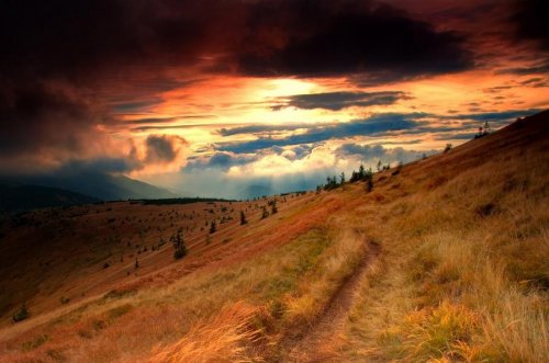 Очень красивая серия работ чешского фотографа Janek Sedlar.