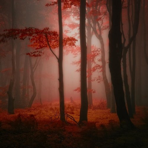 Очень красивая серия работ чешского фотографа Janek Sedlar.