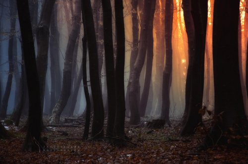 Очень красивая серия работ чешского фотографа Janek Sedlar.