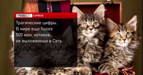 Пятиклассницы в Американских фильма.