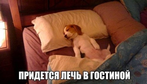 Сфотографировал, разложил обратно по местам.