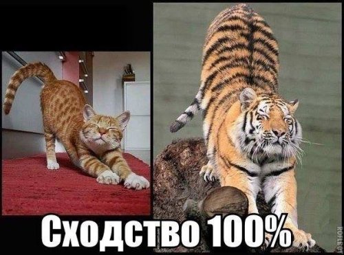 Сфотографировал, разложил обратно по местам.