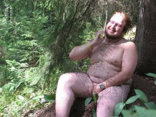 Сфотографировал, разложил обратно по местам.