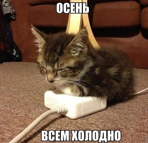 Что бы понять женщину нужно думать как туфли