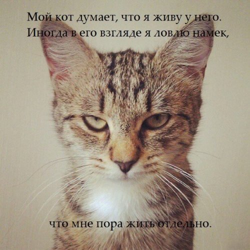 Что бы понять женщину нужно думать как туфли