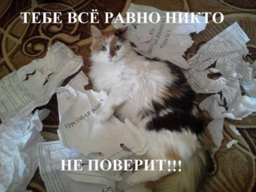 Что бы понять женщину нужно думать как туфли