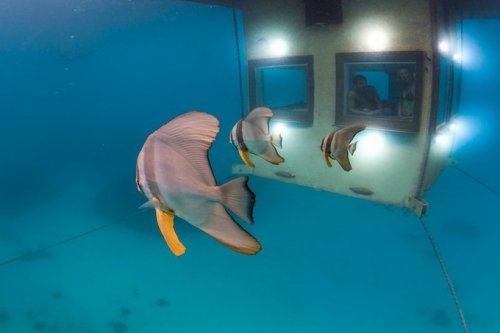 Подводные комнаты в отеле Manta.