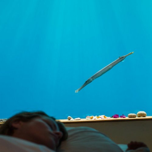 Подводные комнаты в отеле Manta.
