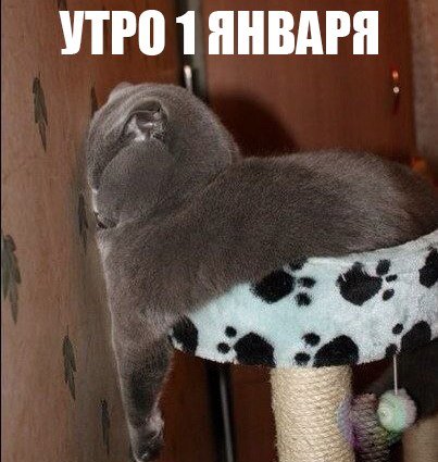 Смотри прикольные картинки разбавь похмелье юмором