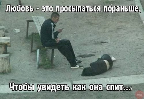 Смотри прикольные картинки разбавь похмелье юмором