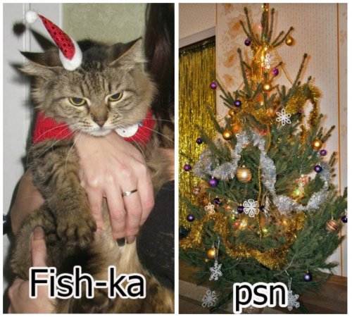 Итоги новогодних конкурсов 2014