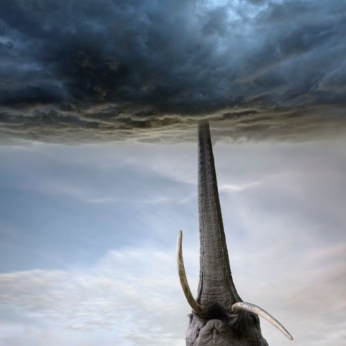 Сюрреалистические фотоманипуляции от Dariusz Klimczak