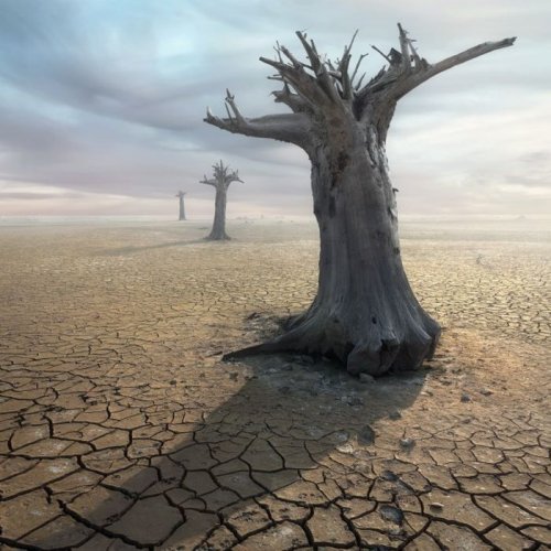 Сюрреалистические фотоманипуляции от Dariusz Klimczak