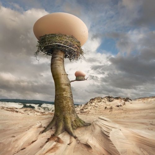 Сюрреалистические фотоманипуляции от Dariusz Klimczak