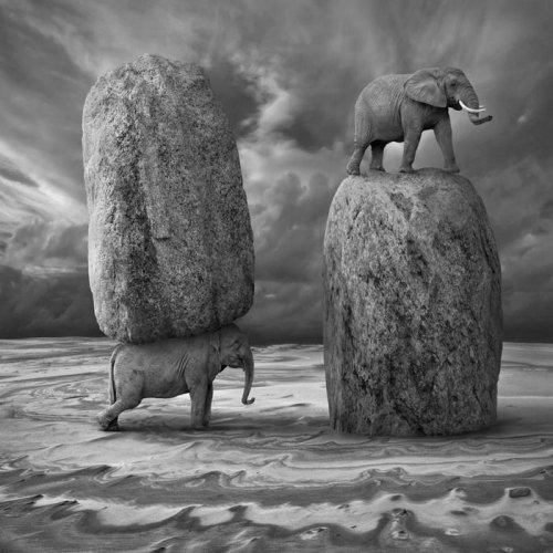 Сюрреалистические фотоманипуляции от Dariusz Klimczak