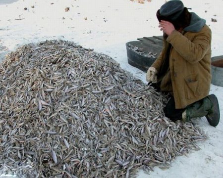Приколы про рыбалку