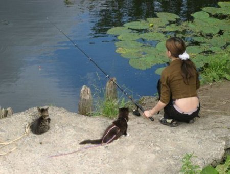 Приколы про рыбалку