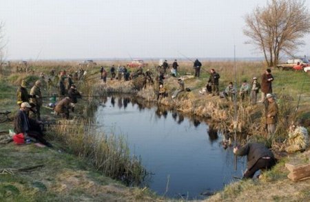 Приколы про рыбалку
