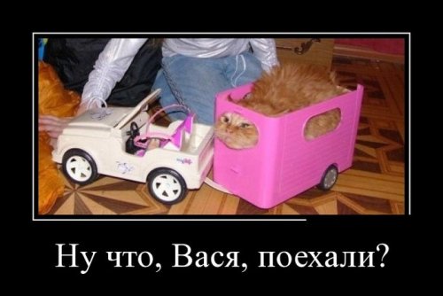 Скачать демотиваторы