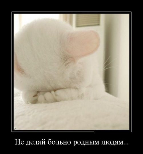 Скачать демотиваторы