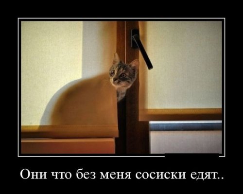 Скачать демотиваторы