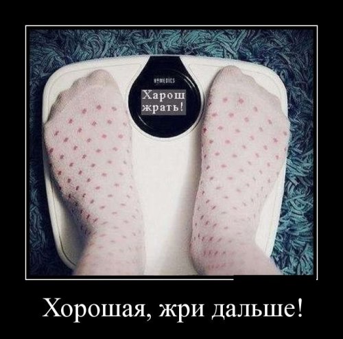 Скачать демотиваторы