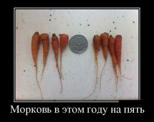 Скачать демотиваторы
