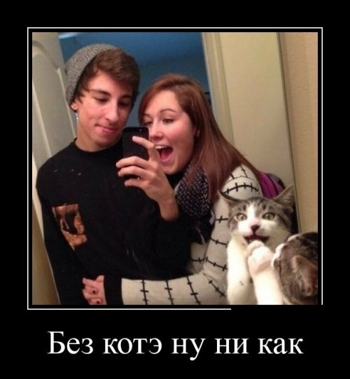 Скачать демотиваторы