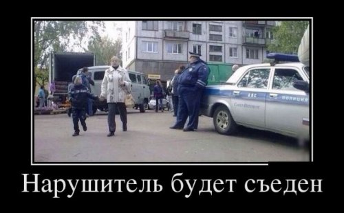 Скачать демотиваторы