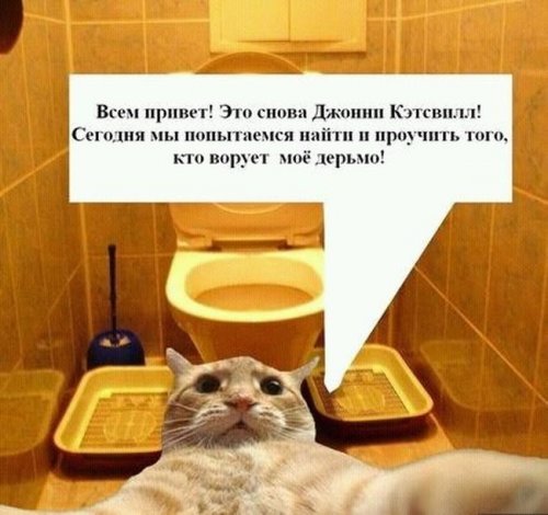 Джонни Кэтсвилл