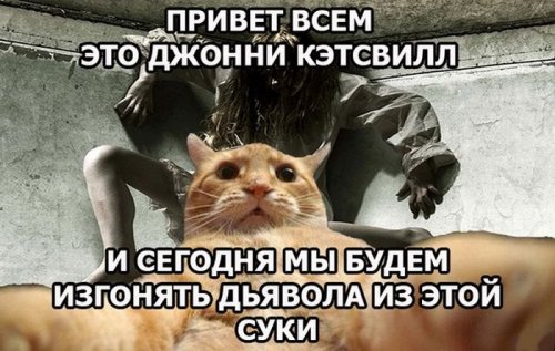 Джонни Кэтсвилл