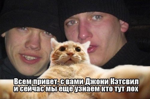 Джонни Кэтсвилл