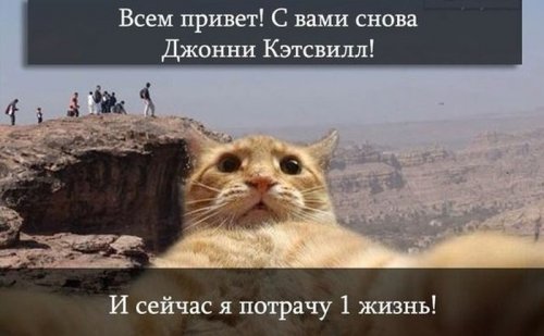 Джонни Кэтсвилл