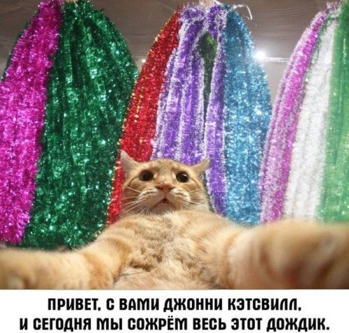 Джонни Кэтсвилл