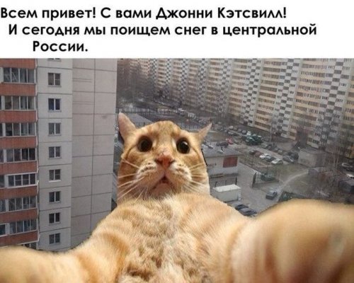 Джонни Кэтсвилл