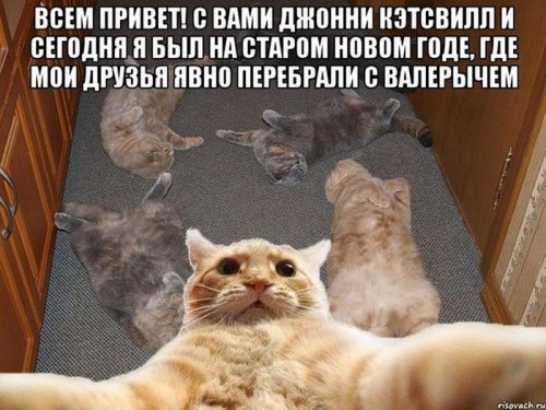 Джонни Кэтсвилл