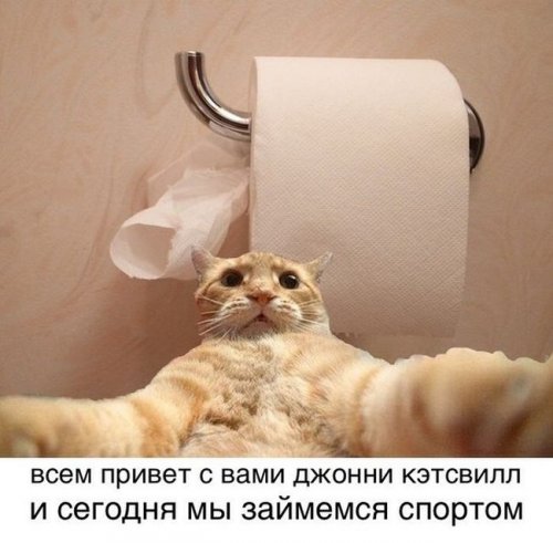 Джонни Кэтсвилл