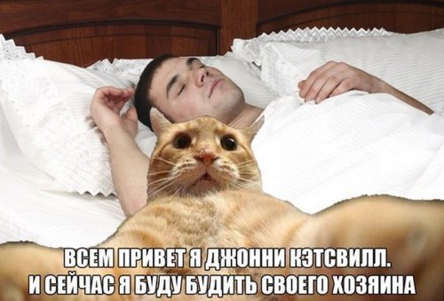 Джонни Кэтсвилл