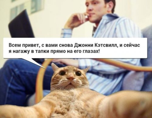 Джонни Кэтсвилл