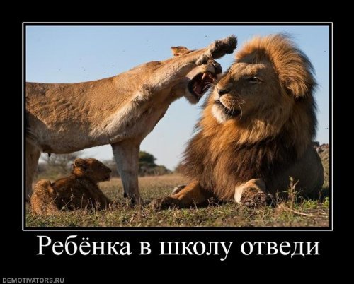 Демотиваторы про школу Демотиваторы про школу