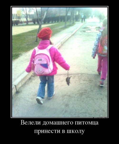 Демотиваторы про школу Демотиваторы про школу