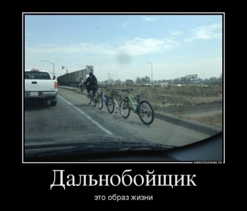 Автомобильные демотиваторы