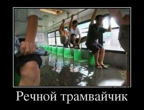 Автомобильные демотиваторы