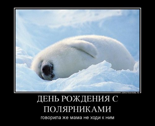 Демотиваторы с днем рождения
